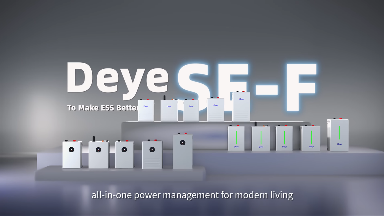 Deye SE-F5 Pro - Afbeelding 3